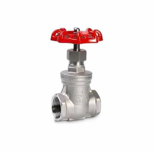 VAN CỔNG INOX 304 NỐI REN ERAV