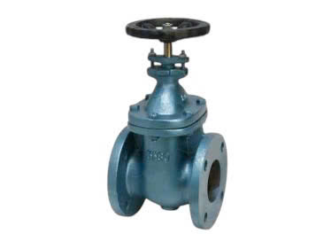 VAN CỔNG MẶT BÍCH PN16 TOYO 501B