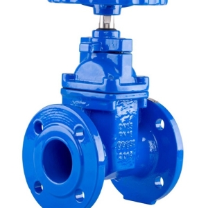VAN CỔNG MẶT BÍCH PN16 DGV DG1101