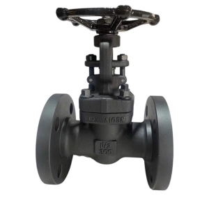 VAN CỔNG THÉP RÈN A 105 FBV MẶT BÍCH