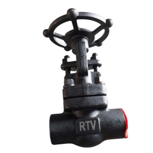 VAN THÉP RÈN A 105 REN RTV